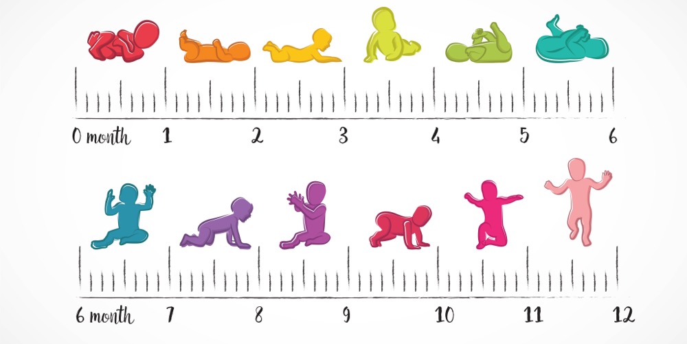 Child Growth Stages